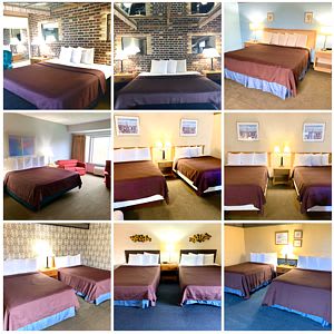 Standard Rooms